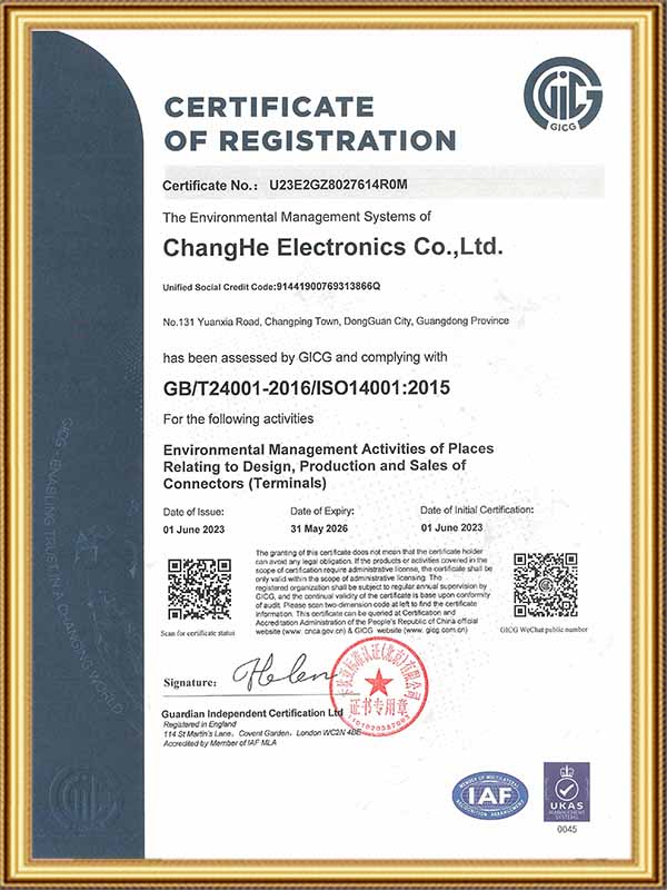 环境管理体系认证 英...